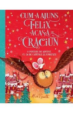 Cum a ajuns Felix acasa de Craciun