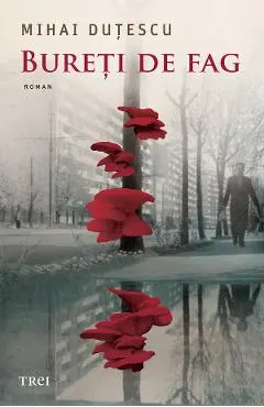 eBook Bureti de fag