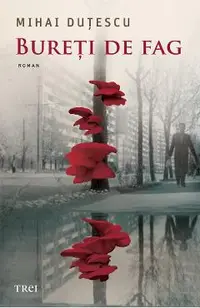eBook Bureti de fag