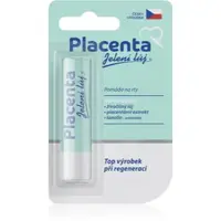 Regina Placenta unguent de buze din placenta