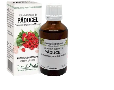 Extract din mladite de paducel, 50ml, PlantExtrakt
