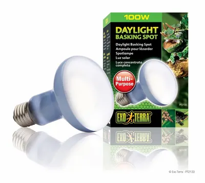 Exo Terra Bec Daylight 100 W PT 2133