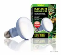 Exo Terra Bec Daylight 100 W PT 2133