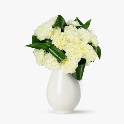 Buchet de 15 garoafe albe