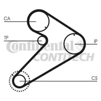 Curea de distributie CONTITECH CT921