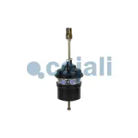Cojali 2251525