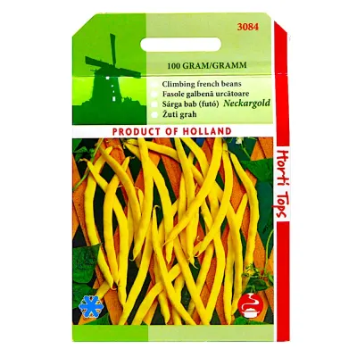 Seminte fasole fideluta, galbena Neckargold 100 gr, Holland - Default Title
