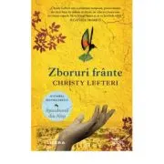 Zboruri frante