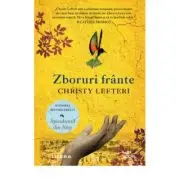 Zboruri frante