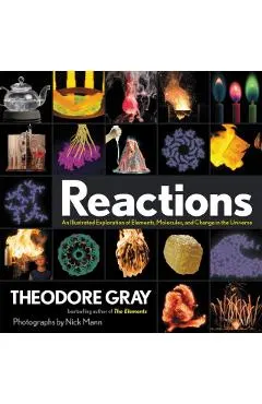 Reactions: An Illustrated Exploration of Elements, Molecules, and Change in the Universe