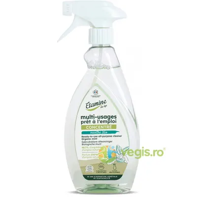 Spray Eco Multifunctional cu Parfum de Menta fara Clatire 500ml