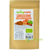 Ganoderma Pulbere Ecologica/ Bio 50g