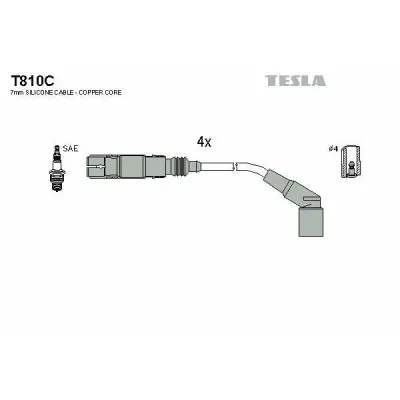Set cablaj aprindere TESLA T810C