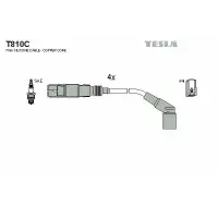 Set cablaj aprindere TESLA T810C