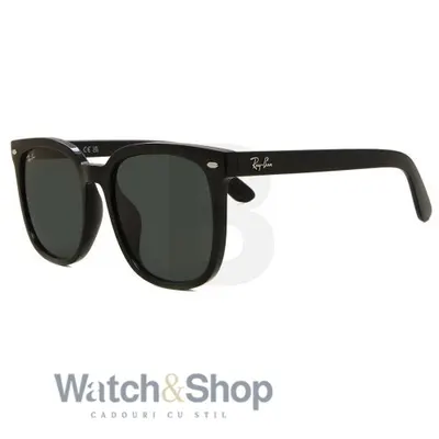 Ochelari de soare Ray-Ban Ray-Ban RB4401D 601/87 55