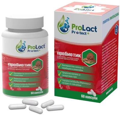Protect+ Probiotic în timpul radioterapiei și chimioterapiei cu ciuperci reishi, 60 capsule, ProLact