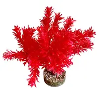 Sydeco Planta Sweet Bowl 18 cm 349650