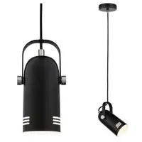 Pendul Neordic Lavea pentru plante, max. 1x15W, bec E27, culoare negru, 230V, din metal