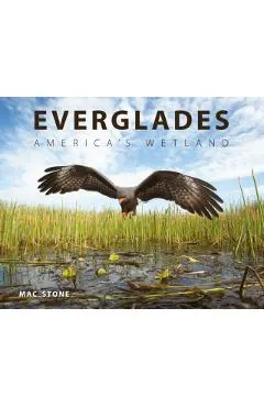 Everglades: America's Wetland