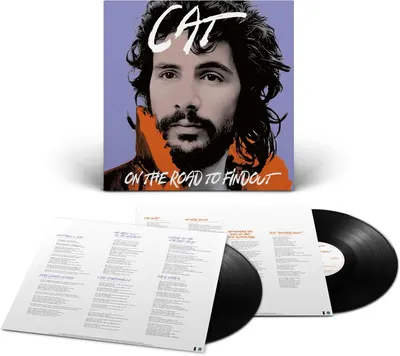 On The Road To Findout - Vinyl