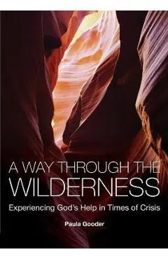 A Way Through the Wilderness: Experiencing God's Help in Times of Crisis