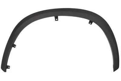 Bandou aripa Stanga Fata potrivit LEXUS NX II dupa 2021 - (negru)