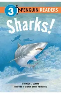 Sharks!