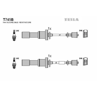 Set cablaj aprindere TESLA T745B