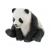 Pui de urs panda