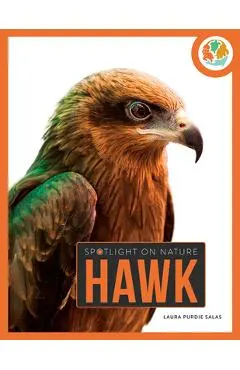 Hawk