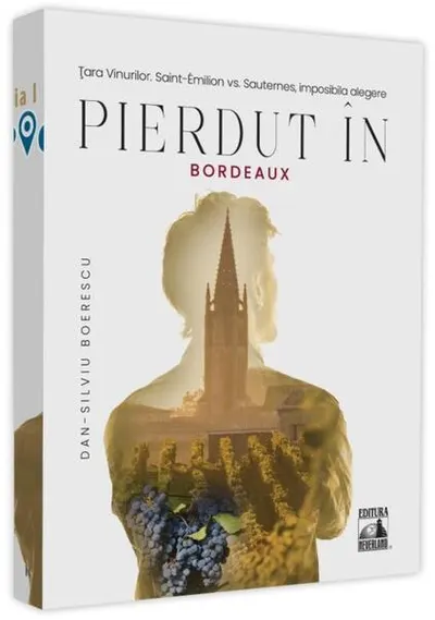 Pierdut în Bordeaux - Paperback - Dan-Silviu Boerescu