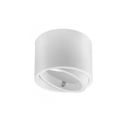 Spot - ISUMI ceiling lamp with adjustable angle, aluminium, 130×100, IP20, ES111, GU10, round, white