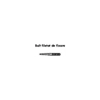 Bolt fixare filetat M10