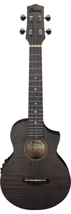 Ukulele concert Ibanez - UEW12E, Black Ice Flat