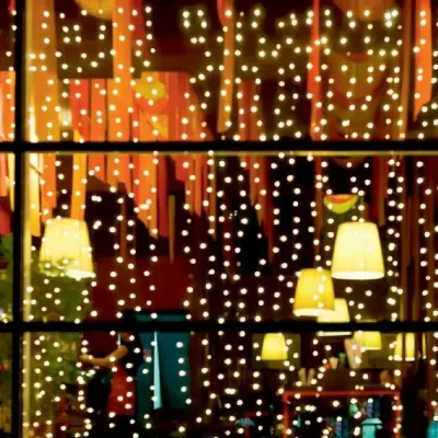 Perdea de lumini pentru exterior, 20 ghirlande/20 microLED-uri, dimensiune 2x2 m