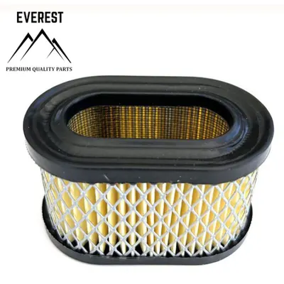 Filtru de Aer Brigss&stratton Quantum Scund Everest