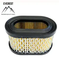 Filtru de Aer Brigss&stratton Quantum Scund Everest