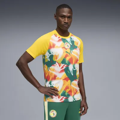 Tricou bărbați slim Senegal Aufwärmtrikot, multicolor PUMA