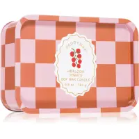 Paddywax A Dopo Tomato Vine lumânare parfumată 184 g