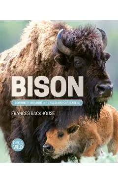 Bison: Community Builders and Grassland Caretakers