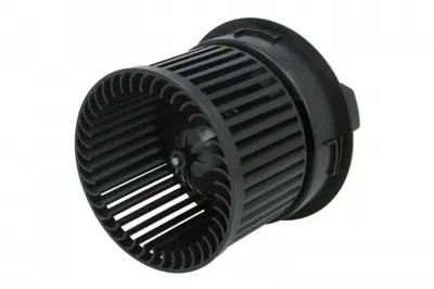 Ventilator habitaclu potrivit DS DS 4; CITROEN C4 II, C4 III, DS4; PEUGEOT 308, 308 I, 308 I KOMBI, RCZ 1.2-2.0D 09.07