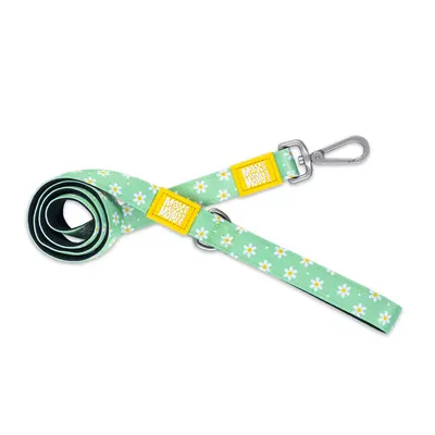 Lesa pentru caini Max & Molly, multicolora, lungime 120 cm, pentru caini cu greutate de pana la 25 kg