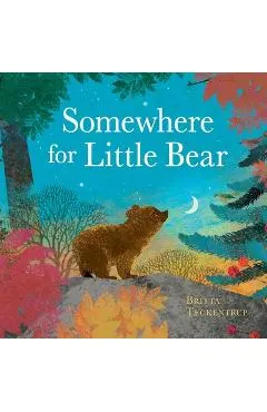 Somewhere for Little Bear