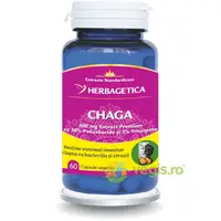 Chaga 60cps
