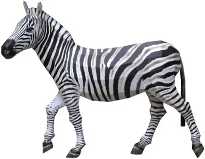 Мodel pentru asamblare din hârtie - Zebra, 34 x 46 cm