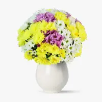 Buchet de 45 crizanteme multicolore