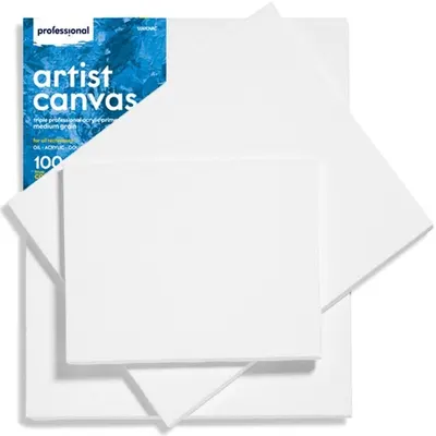 Pânză pentru pictură Professional - 35 x 50 cm