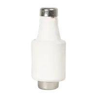Patron Fuzibil 20A