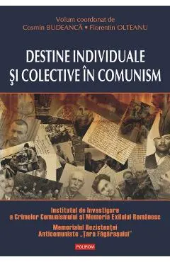 eBook Destine individuale si colective in comunism