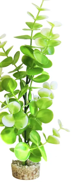 Sydeco Planta Water Eucalyptus 22 cm 350118